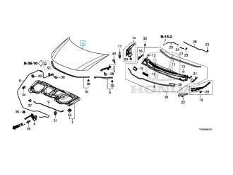 Капот HONDA/ACURA 60100TS4Q50ZZ