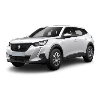 Захист двигуна Peugeot 2008 2020- Kolchuga ZiPoFlex (2.1098)