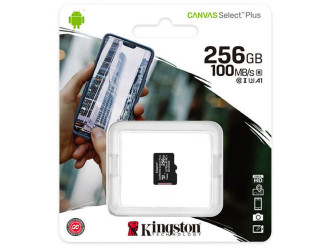 Карта пам'яті Kingston 256Gb Class 10