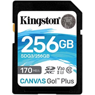 Карта пам'яті Kingston 256Gb Class 10